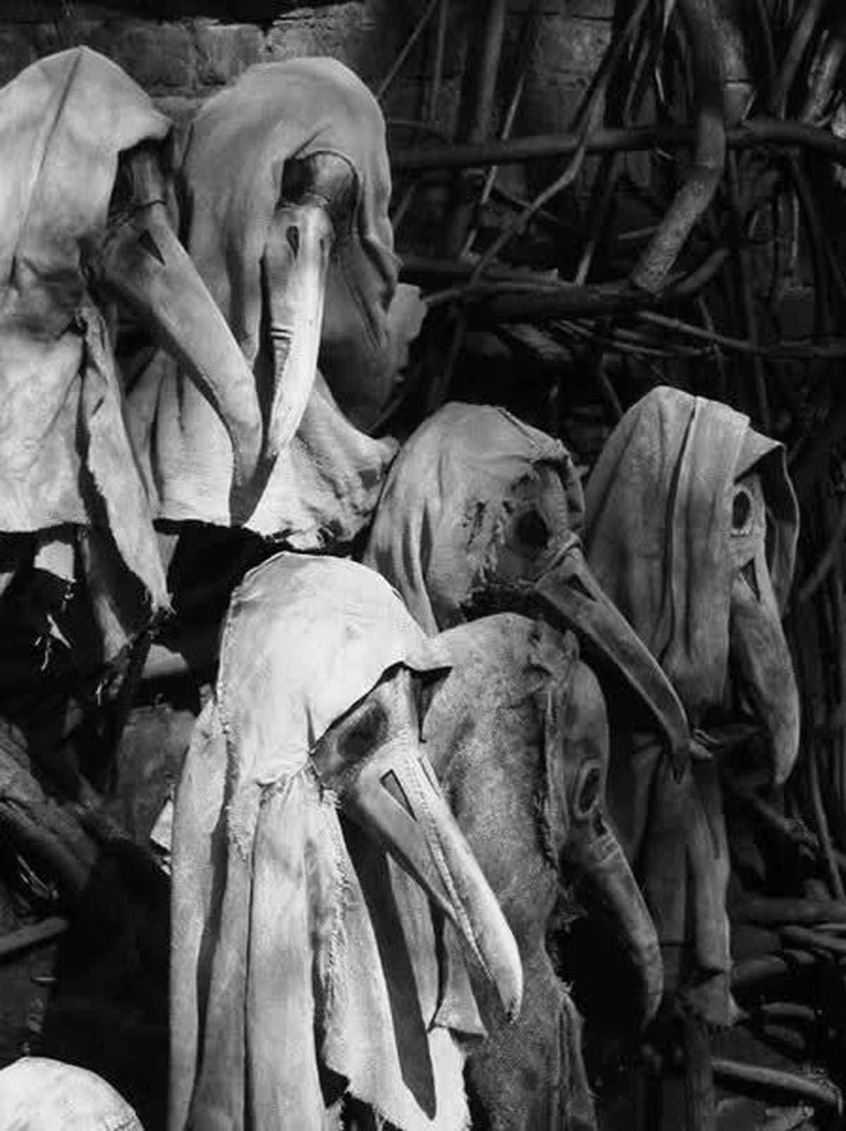 October Paranormal Ghost Tours